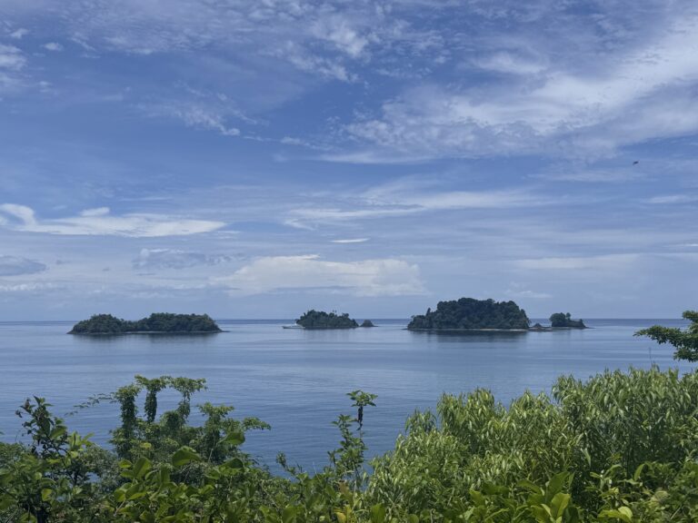 Coastal Image